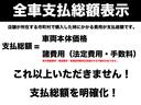 Ｆ　カロッツェリアナビ　ワンセグ　ＤＶＤ　ＳＤ　キーレス　ライトレベライザー　横滑り防止装置　アイドリングストップ　スペアキー　パンク修理キット　取扱説明書　メンテナンスノート（25枚目）