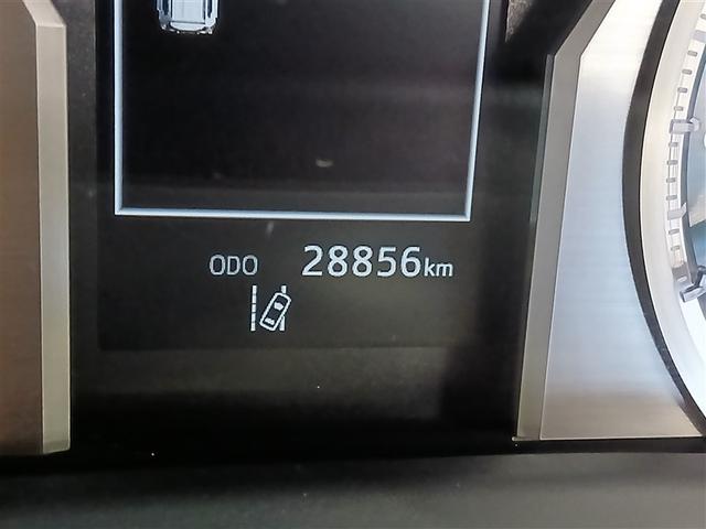 ����_�������t�����ۏؕt���Ȃ̂ŁA���s�������L�тĂ����S�B�܂��܂������Ŋ���ł���Ԃł��B