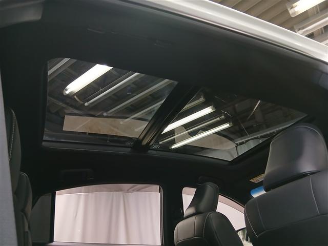 �����ɐS�n������������B�p�m���}���[�����[�t�t���ł��B�L�����v�Ő���𒭂߂��܂��I