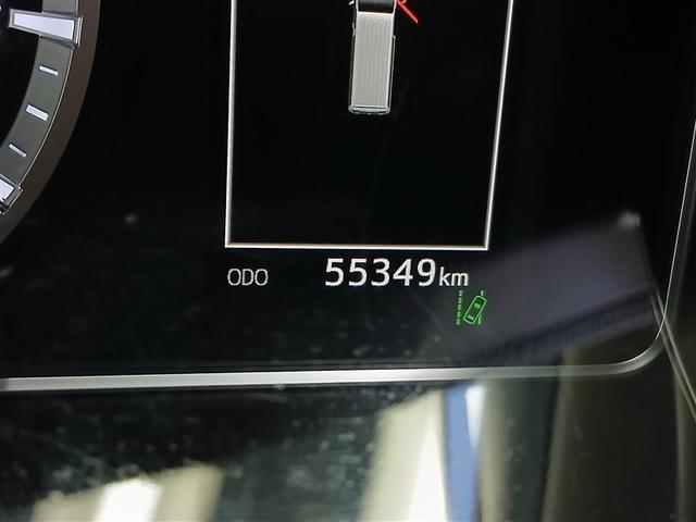 ����_�������t�����ۏؕt���Ȃ̂ŁA���s�������L�тĂ����S�B�܂��܂������Ŋ���ł���Ԃł��B