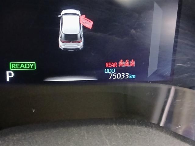 ����_�������t�����ۏؕt���Ȃ̂ŁA���s�������L�тĂ����S�B�܂��܂������Ŋ���ł���Ԃł��B