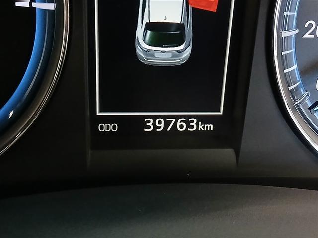 ����_�������t�����ۏؕt���Ȃ̂ŁA���s�������L�тĂ����S�B�܂��܂������Ŋ���ł���Ԃł��B