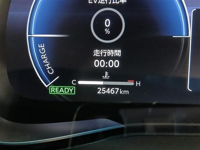 ����_�������t�����ۏؕt���Ȃ̂ŁA���s�������L�тĂ����S�B�܂��܂������Ŋ���ł���Ԃł��B