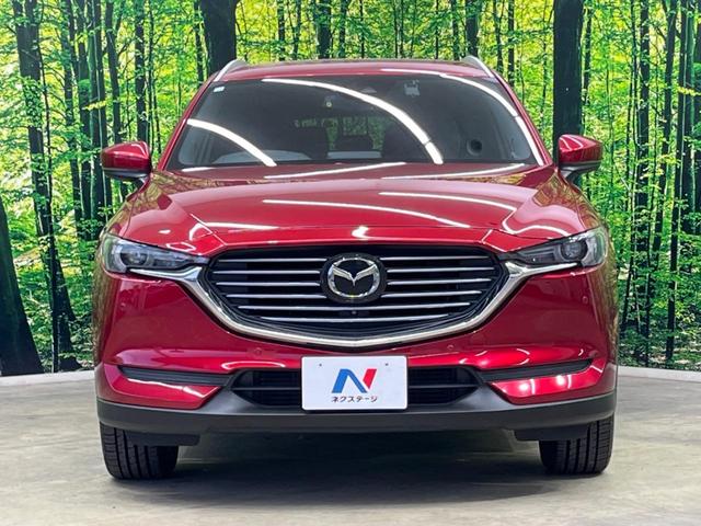 ＣＸ－８ ＸＤプロアクティブ　７人乗り　純正ナビ　フリップダウン　全周囲カメラ　アドバンスドスマートシティブレーキサポート　レーダークルーズ　禁煙車　パワーバックドア　前席シートヒーター　パワーシート　ドラレコ　コーナーセンサー（15枚目）