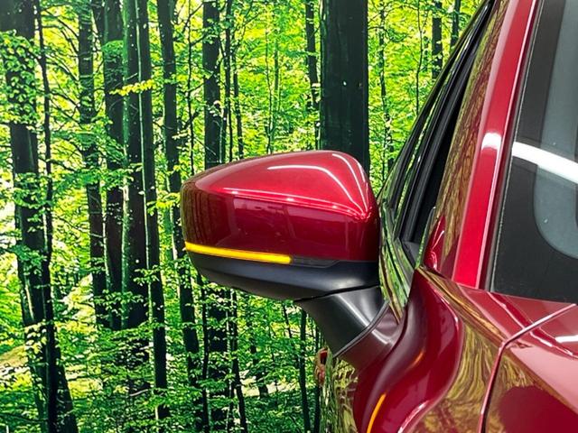 ＣＸ－８ ＸＤプロアクティブ　７人乗り　純正ナビ　フリップダウン　全周囲カメラ　アドバンスドスマートシティブレーキサポート　レーダークルーズ　禁煙車　パワーバックドア　前席シートヒーター　パワーシート　ドラレコ　コーナーセンサー（31枚目）