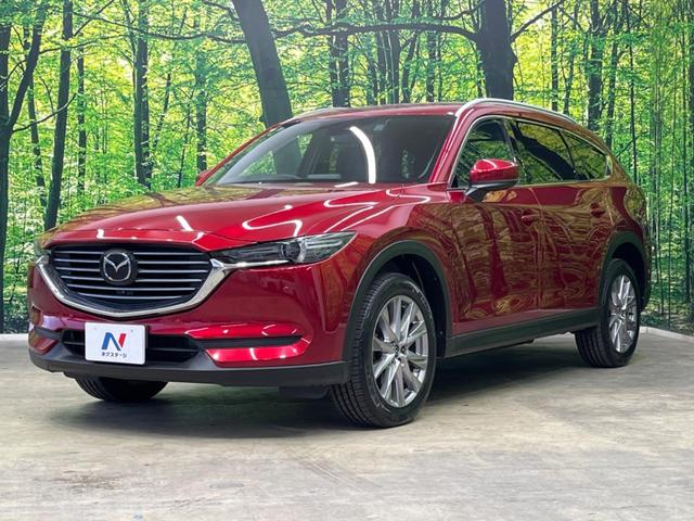 ＣＸ－８ ＸＤプロアクティブ　７人乗り　純正ナビ　フリップダウン　全周囲カメラ　アドバンスドスマートシティブレーキサポート　レーダークルーズ　禁煙車　パワーバックドア　前席シートヒーター　パワーシート　ドラレコ　コーナーセンサー（34枚目）