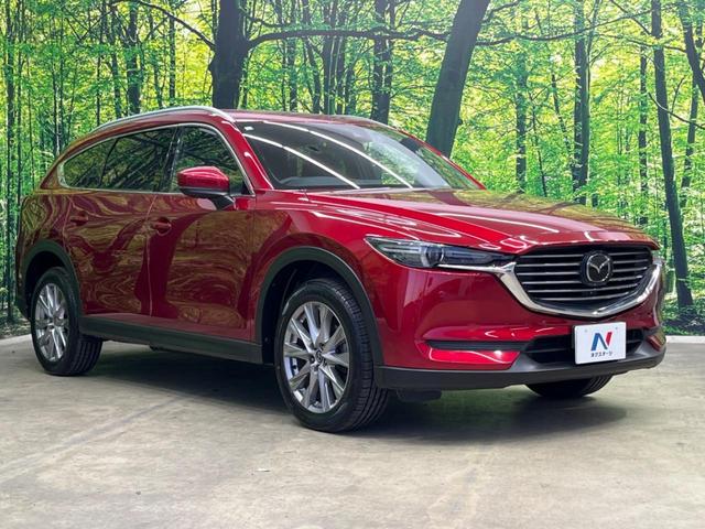 ＣＸ－８ ＸＤプロアクティブ　７人乗り　純正ナビ　フリップダウン　全周囲カメラ　アドバンスドスマートシティブレーキサポート　レーダークルーズ　禁煙車　パワーバックドア　前席シートヒーター　パワーシート　ドラレコ　コーナーセンサー（35枚目）