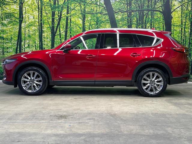 ＣＸ－８ ＸＤプロアクティブ　７人乗り　純正ナビ　フリップダウン　全周囲カメラ　アドバンスドスマートシティブレーキサポート　レーダークルーズ　禁煙車　パワーバックドア　前席シートヒーター　パワーシート　ドラレコ　コーナーセンサー（37枚目）