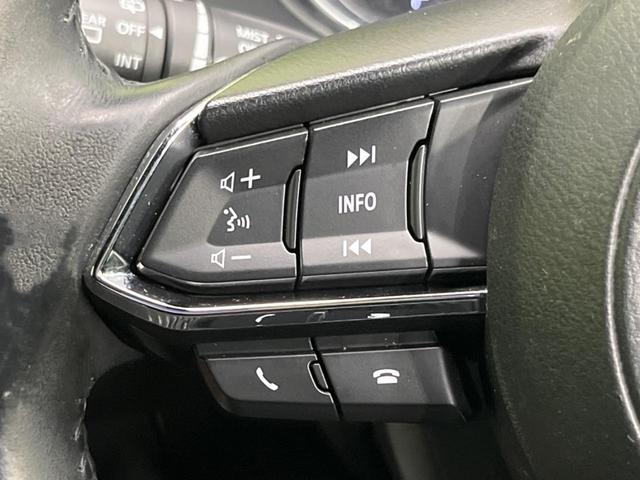 ＣＸ－８ ＸＤプロアクティブ　７人乗り　純正ナビ　フリップダウン　全周囲カメラ　アドバンスドスマートシティブレーキサポート　レーダークルーズ　禁煙車　パワーバックドア　前席シートヒーター　パワーシート　ドラレコ　コーナーセンサー（66枚目）