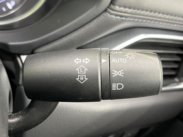 ＣＸ－８ ＸＤプロアクティブ　７人乗り　純正ナビ　フリップダウン　全周囲カメラ　アドバンスドスマートシティブレーキサポート　レーダークルーズ　禁煙車　パワーバックドア　前席シートヒーター　パワーシート　ドラレコ　コーナーセンサー（68枚目）