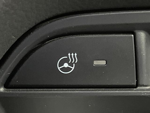 ＣＸ－８ ＸＤプロアクティブ　７人乗り　純正ナビ　フリップダウン　全周囲カメラ　アドバンスドスマートシティブレーキサポート　レーダークルーズ　禁煙車　パワーバックドア　前席シートヒーター　パワーシート　ドラレコ　コーナーセンサー（71枚目）