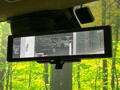 �ڥ���ƥꥸ����ȥ롼��ߥ顼�۸��ʤ��礭�ʲ�ʪ��Ʊ��ԤǸ�������ǧ���Ť餤���Ǥ�¿�������餬���Ƥ�����ξ�����α�����롼��ߥ顼���ɽ�������ꥢ�ʻ볦�Ǿ����γ�ǧ����ǽ�Ǥ��� 5