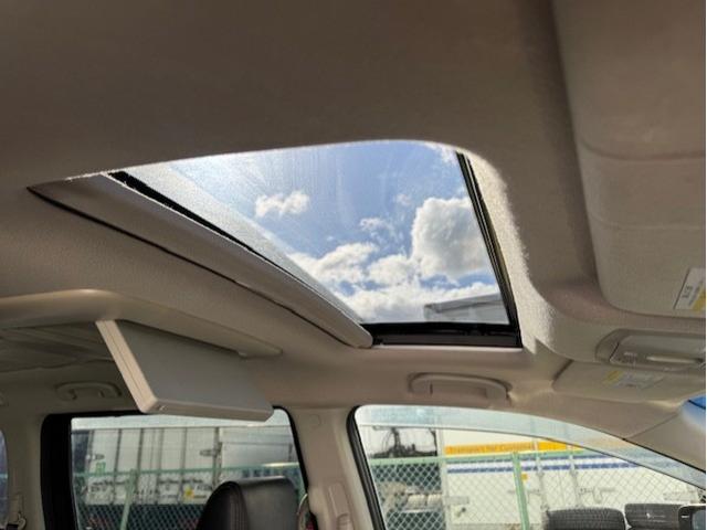 エルグランド ２５０ハイウェイスターＳ　電動Ｗサンルーフ　純正ＨＤＤナビ　アラウンドビューモニター　両側パワースライドドア　パワーバックドア　電動フリップダウンモニター　ＥＴＣ　ハーフレザーシート　オットマン　ＬＥＤヘッドライト　ＴＶキット（13枚目）