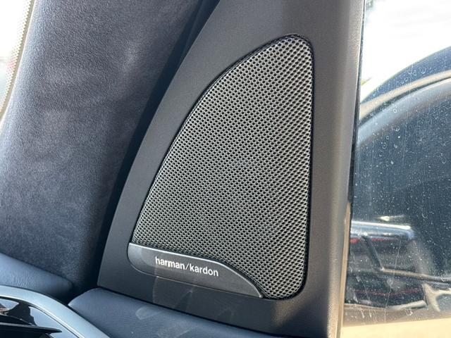 Ｘ７ ｘＤｒｉｖｅ　３５ｄ　デザインピュアエクセレンス　ワンオーナー　ウェルネスパッケージ　ｈａｒｍａｎ／ｋａｒｄｏｎサウンドシステム　アルカンタラルーフ・ライニング　マルチスポーク・スタイリング７５７アロイ・Ｒ２２ホイール　前後ドラレコ　ルーフレール（16枚目）