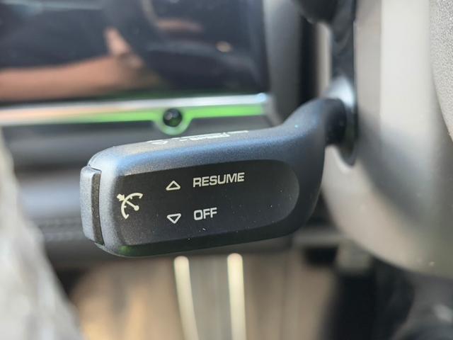 パナメーラ ベースグレード スポーツクロノPKG BOSEサウンド 純正ナビフルセグBカメラ パワーテールリッド クルーズC パドルシフト シートヒーター レザーシート 純正18インチアルミ ドラレコ レーダー ETC(13枚目)