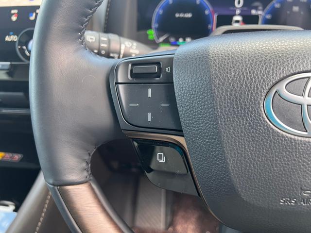 アルファードPHEV エグゼクティブラウンジ トヨタチームメイト セーフティセンス ムーンルーフ メーカー14型ナビTVリヤエンターテイメント JBLサウンド デジタルインナーミラー エグゼクティブラウンジシート ユニバーサルステップ 寒冷地仕様(11枚目)