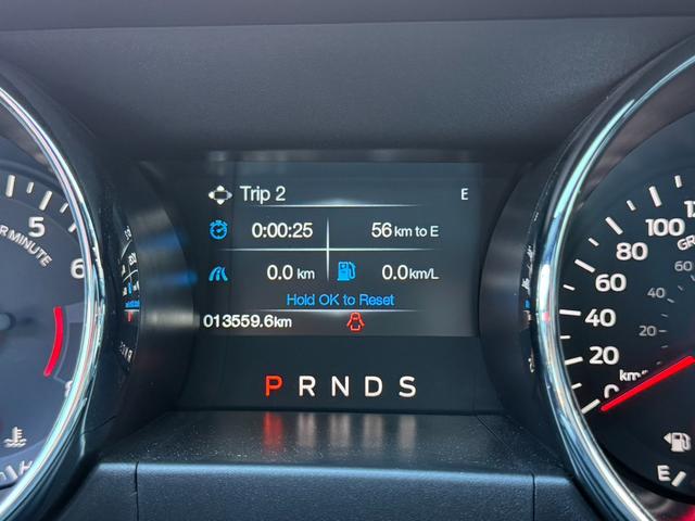 マスタング ５０イヤーズ　エディション　３５０台限定車　左ハンドル　フルセグ　バックカメラ　ブラックレザーシート　パドルシフト　クルーズコントロール　シートヒーター　クーラー　ＥＴＣ　純正１９インチＡＷ（6枚目）