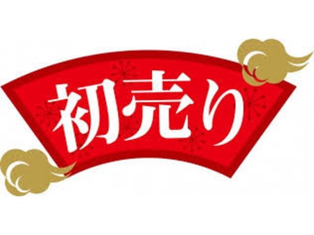 ライトエーストラック ＤＸシングルジャストロー三方開　５速マニュアル　外品ナビフルセグ　ドラレコ　三方開（4枚目）