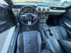 ޥ 䡼ǥ󡡣֡ϥɥ롡ե륻 0904306A30251122W003 7