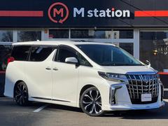 �����եƥ����󥹡����ãá���ǥꥹ���ơ��ӡ��ҥ���������ǥꥹ��������������ס������ʥӥե륻���¥���顡�����ե�åץ������˥���������̣ţĥإåɥ饤�ȡ�����롼�ա��쥶�������ȡ��ѥ�Хå��ɥ� 3