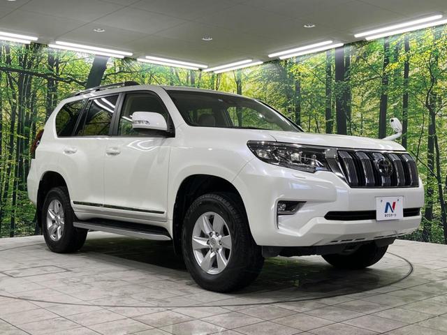 TX Lパッケージ 4WD 寒冷地仕様 サンルーフ SDナビ セーフティセンス レーダークルコン オートハイビーム LEDヘッド&フォグ 革シート ETC バックカメラ フルセグTV Bluetooth接続 ドラレコ(53枚目)