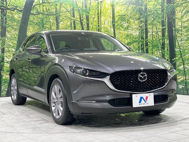 ＣＸ－３０ ２０Ｓ　プロアクティブ　ツーリングセレクション　４ＷＤ　スマートブレーキサポート　禁煙車　マツダコネクトナビ　アラウンドビューモニター　ＢＯＳＥサウンドシステム　レーダークルーズ　ＥＴＣ　Ｂｌｕｅｔｏｏｔｈ　フルセグ　シートヒーター　パワーシート（17枚目）