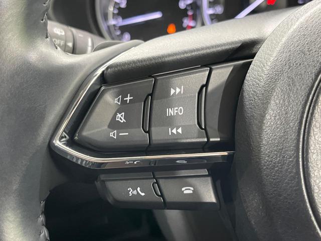ＣＸ－５ ２０Ｓ　プロアクティブ　１０．２５インチマツダコネクトナビ　全周囲カメラ　アドバンストスマートシティブレーキ　レーダークルーズ　禁煙車　パワーバックドア　シートヒーター　パワーシート　ドラレコ　コーナーセンサー　スマートキー（46枚目）