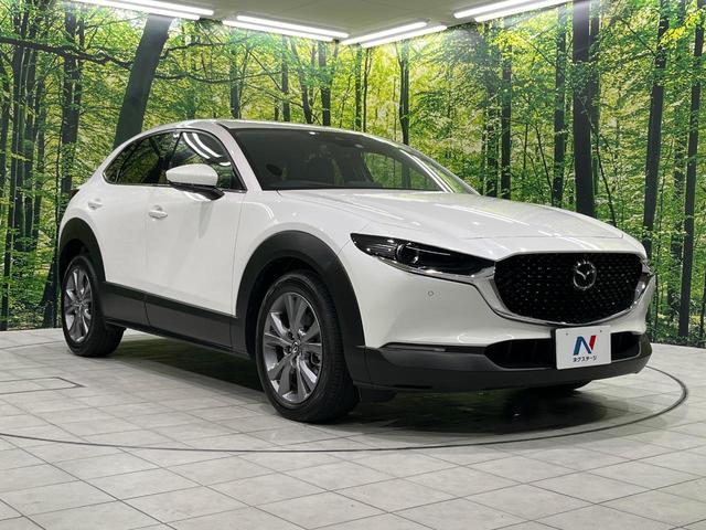 ＣＸ－３０ ２０Ｓ　プロアクティブ　マツダコネクト　全周囲カメラ　スマートブレーキサポート　レーダークルーズ　禁煙車　コーナーセンサー　スマートキー　ＬＥＤヘッド　ＥＴＣ　オートハイビーム　デュアルエアコン　純正１８インチアルミホイール（17枚目）