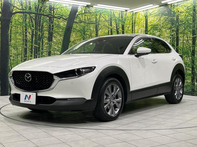 ＣＸ－３０ ２０Ｓ　プロアクティブ　マツダコネクト　全周囲カメラ　スマートブレーキサポート　レーダークルーズ　禁煙車　コーナーセンサー　スマートキー　ＬＥＤヘッド　ＥＴＣ　オートハイビーム　デュアルエアコン　純正１８インチアルミホイール（63枚目）