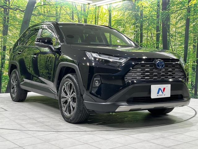 ＲＡＶ４ ハイブリッドＧ　純正ＳＤナビ　バックカメラ　禁煙車　衝突軽減装置　レーダークルーズ　スマートキー　パワーバックドア　スマートキー　パワーシート　シートヒーター　オートライト　オートマチックハイビーム　ＬＥＤヘッド（17枚目）