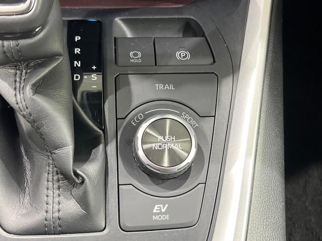 ＲＡＶ４ ハイブリッドＧ　純正ＳＤナビ　バックカメラ　禁煙車　衝突軽減装置　レーダークルーズ　スマートキー　パワーバックドア　スマートキー　パワーシート　シートヒーター　オートライト　オートマチックハイビーム　ＬＥＤヘッド（35枚目）