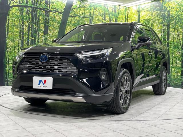 ＲＡＶ４ ハイブリッドＧ　純正ＳＤナビ　バックカメラ　禁煙車　衝突軽減装置　レーダークルーズ　スマートキー　パワーバックドア　スマートキー　パワーシート　シートヒーター　オートライト　オートマチックハイビーム　ＬＥＤヘッド（57枚目）