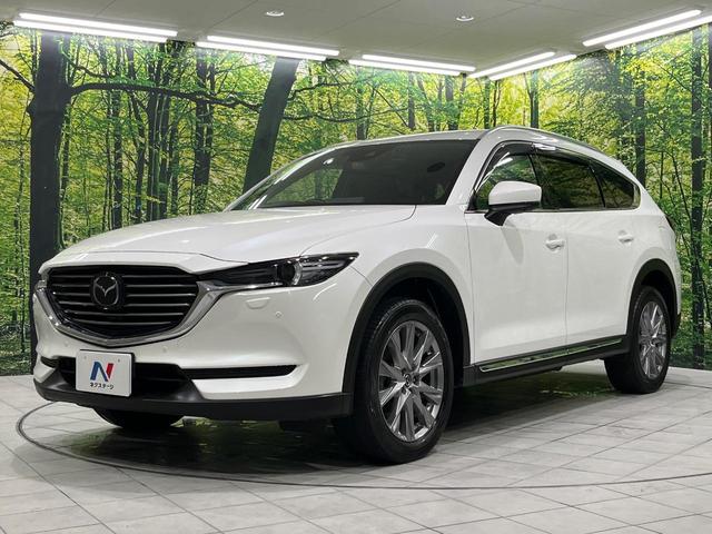 ＣＸ－８ ２５Ｓ　プロアクティブ　４ＷＤ　マツダコネクト　全周囲カメラ　スマートブレーキサポート　レーダークルーズ　禁煙車　ドラレコ　コーナーセンサー　スマートキー　ＬＥＤヘッド　ＥＴＣ　オートハイビーム　オートライト　シートヒーター（62枚目）