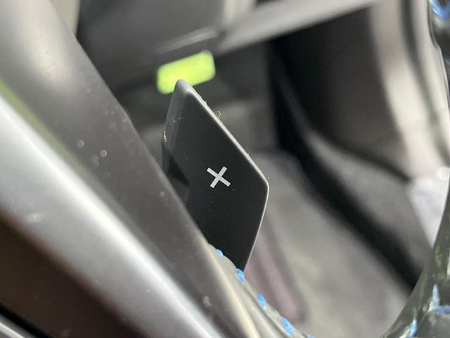 レヴォーグ １．６ＧＴ－Ｓアイサイト　純正ＳＤナビ　バックカメラ　禁煙車　衝突軽減装置　レーダークルーズ　ＥＴＣ　スマートキー　オートライト　ＬＥＤヘッド　パワーシート　レーンアシスト　ドアバイザー　プライバシーガラス　盗難防止システム（33枚目）