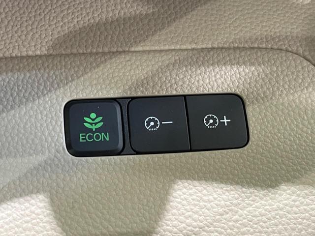 N-BOX G・Lホンダセンシング 電動スライドドア SDナビ バックカメラ 禁煙車 衝突軽減装置 レーダークルーズ スマートキー オートライト LEDヘッド オートエアコン ETC アイドリングストップ ドアバイザー 盗難防止システム(34枚目)