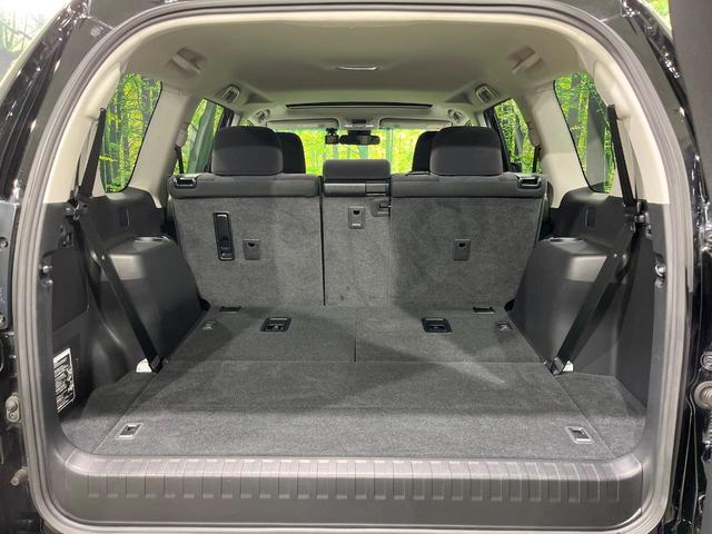 ランドクルーザープラド ＴＸ　サンルーフ　ＳＤナビ　バックカメラ　禁煙車　寒冷地仕様　衝突軽減装置　レーダークルーズ　オートライト　オートマチックハイビーム　ＬＥＤヘッド　ＬＥＤフォグ　クリアランスソナー　プライバシーガラス（53枚目）