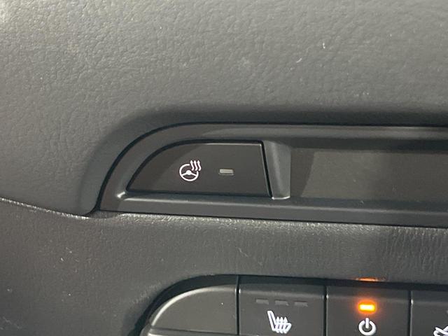 ＣＸ－５ ２０Ｓ　レトロスポーツエディション　マツダコネクト　全周囲カメラ　禁煙車　衝突軽減装置　レーダークルーズ　パワーバックドア　パワーシート　シートヒーター　ＥＴＣ　茶革シート　オートライト　オートマチックハイビーム　ＬＥＤヘッド（35枚目）