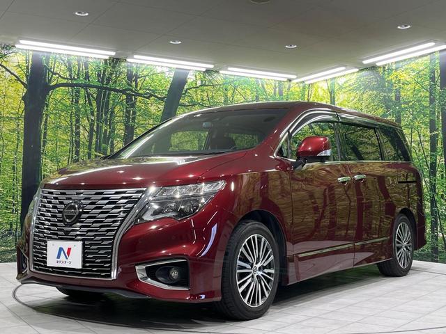 エルグランド ２５０ハイウェイスターＳ　両側電動スライドドア　純正ＳＤナビ　全周囲カメラ　禁煙車　衝突軽減装置　レーダークルーズ　スマートキー　オートライト　オートエアコン　ＬＥＤヘッド　ＥＴＣ　電動格納ミラー　プライバシーガラス（59枚目）