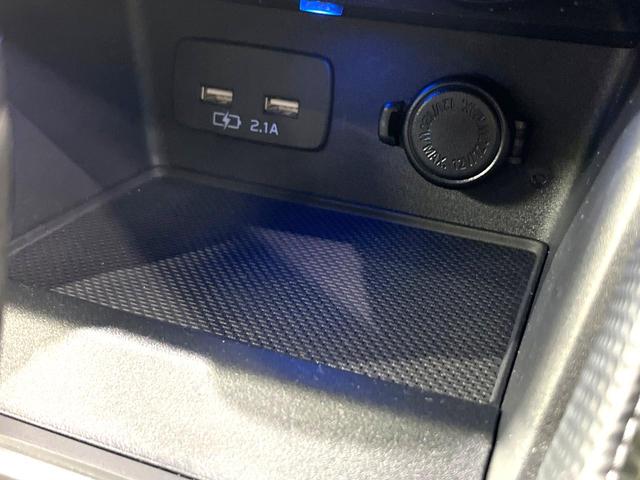 フォレスター Ｘ－エディション　純正ＳＤナビ　バックカメラ　禁煙車　衝突軽減装置　レーダークルーズ　スマートキー　オートライト　ＬＥＤヘッド　パワーバックドア　パワーシート　シートヒーター　オートエアコン　電動格納ミラー（33枚目）