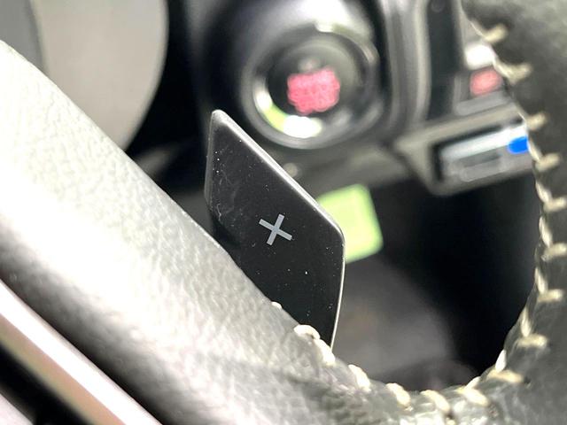 フォレスター Ｘ－エディション　純正ＳＤナビ　バックカメラ　禁煙車　衝突軽減装置　レーダークルーズ　スマートキー　オートライト　ＬＥＤヘッド　パワーバックドア　パワーシート　シートヒーター　オートエアコン　電動格納ミラー（41枚目）