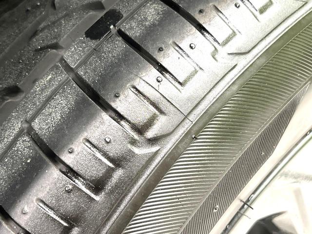 フォレスター Ｘ－エディション　純正ＳＤナビ　バックカメラ　禁煙車　衝突軽減装置　レーダークルーズ　スマートキー　オートライト　ＬＥＤヘッド　パワーバックドア　パワーシート　シートヒーター　オートエアコン　電動格納ミラー（62枚目）