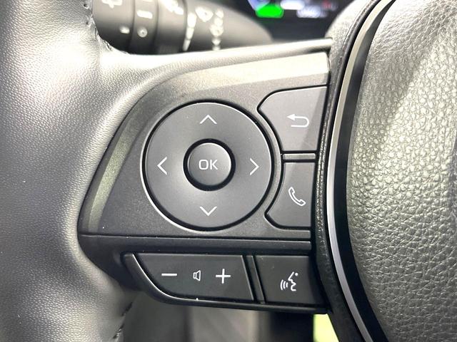 RAV4 ハイブリッドアドベンチャー 10インチディスプレイオーディオ 全周囲カメラ 禁煙車 寒冷地仕様 衝突軽減装置 レーダークルーズ スマートキー パワーシート シートヒーター ETC オートライト オートエアコン レーンアシスト(32枚目)