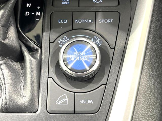 RAV4 G Zパッケージ 純正SDナビ バックカメラ 禁煙車 衝突軽減装置 レーダークルーズ スマートキー パワーバックドア パワーシート ETC オートライト オートエアコン LEDヘッド LEDフォグ シートヒーター(28枚目)