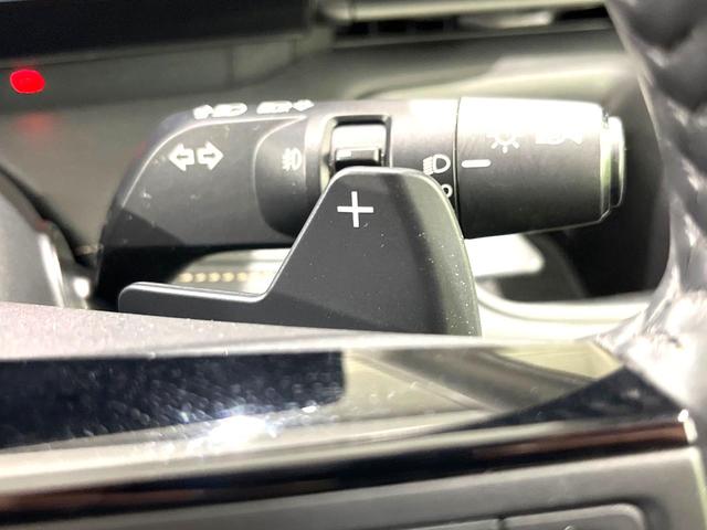 セレナ ハイウェイスターV 4WD 両側電動ド 全周囲カメラ インテリジェントエマージェンシアーブレーキ レーダークルーズ 禁煙車 コーナーセンサー スマートキー LEDヘッド 純正16インチAW オートハイビーム オートライト(33枚目)