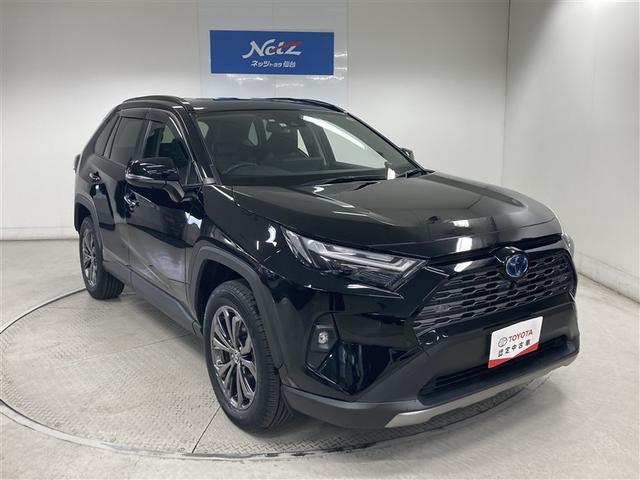 ＲＡＶ４ ハイブリッドＧ　４ＷＤ　メモリーナビ　ミュージックプレイヤー接続可　バックカメラ　衝突被害軽減システム　ＥＴＣ　ドラレコ　ＬＥＤヘッドランプ（10枚目）