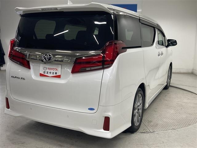 �_�C�i�~�b�N���p���t���ȃX�^�C�����O���l�C�̏㋉�~�j�o���B