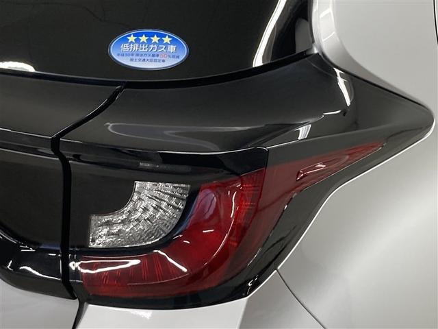 ���������̂����炱���R��\�A���s���萫�A���S�n�ɍS�肽���B�@����ȕ��ɂ����߂̃N���}�ł��B