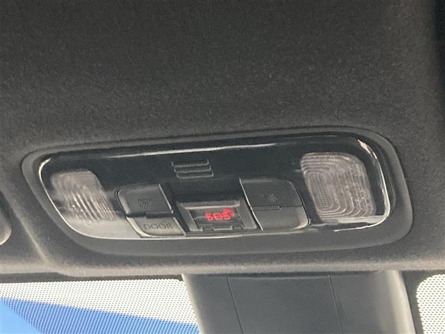 �����͂������A�\������邭�Ƃ炵�܂��B