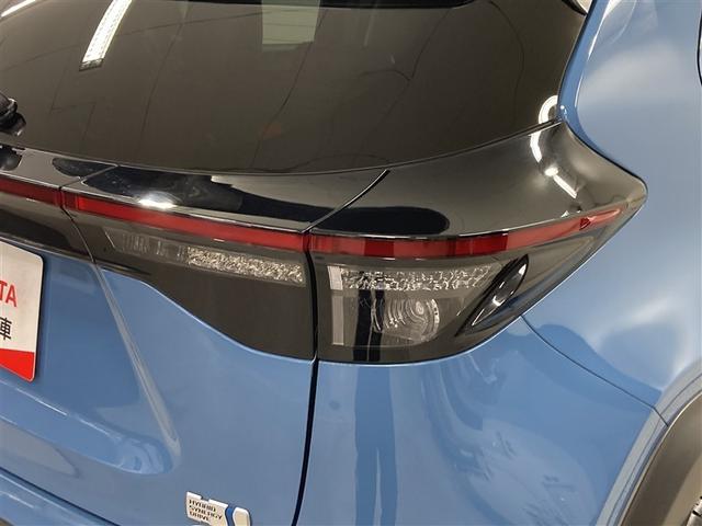 ���ł��A�ǂ��ł��A�s�������ꏊ�֎��R�ɍs����B���E���L����A�{�i�I�Ȃr�t�u�E�����X�N���X�g�u�I