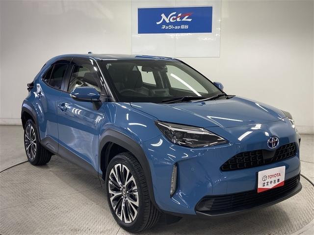 �͋��������łȂ��s��I�ȃJ�b�R�悳������������f�U�C���B